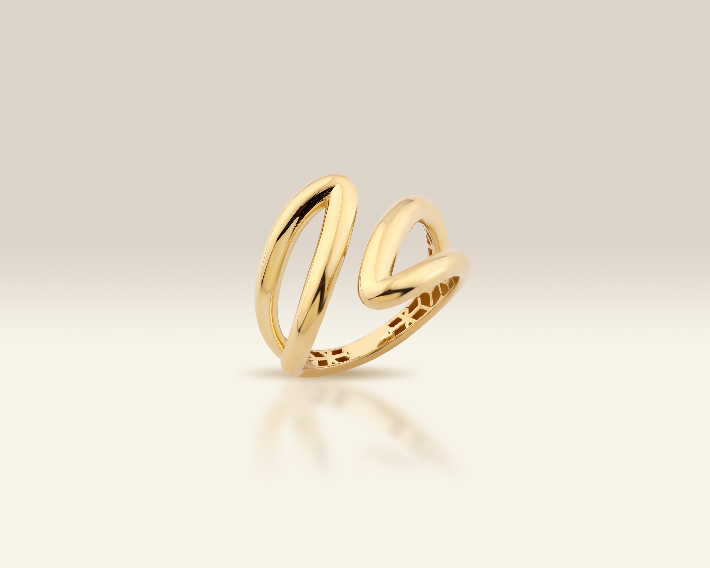 Double Loop Ring